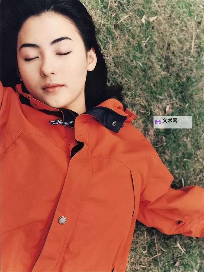 张柏芝电脑维修员照片哪里可以免费下?免费下载攻略详解图1