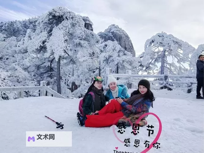 岳开始迎合：从坚持到妥协的转变之路图1
