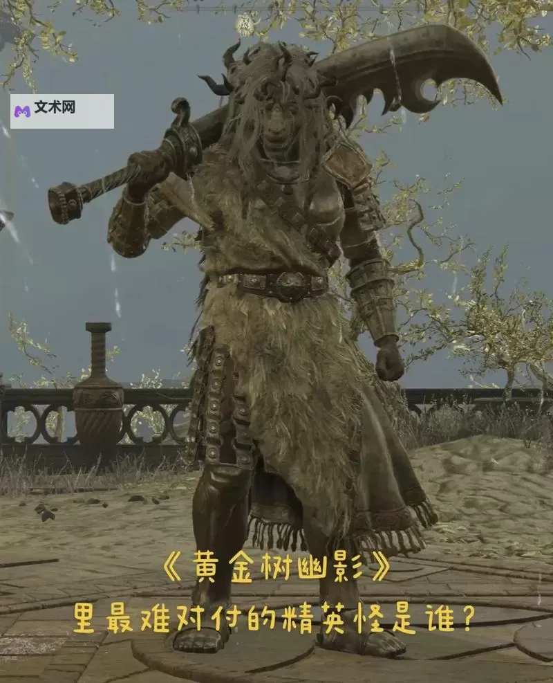 《艾尔登法环》黄金树之影DLC火焰骑士大剑配装分享 火焰骑士大剑护符与战灰推荐图1