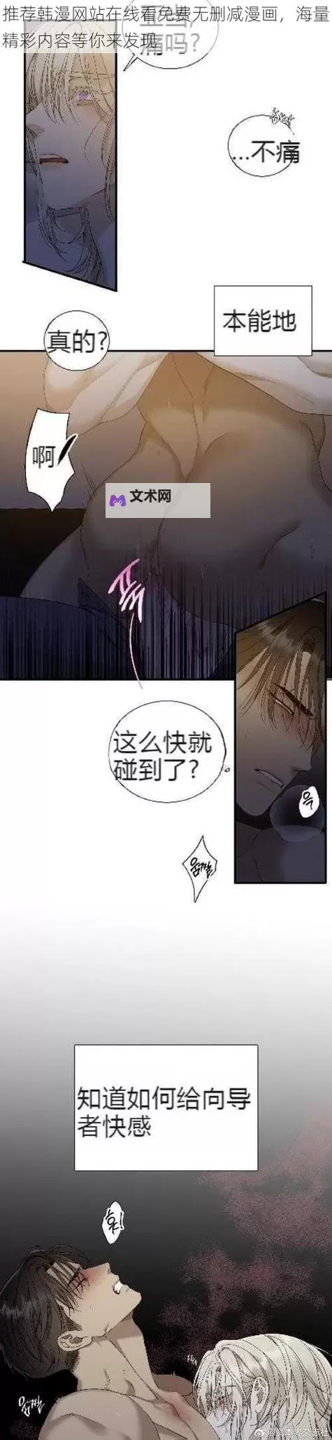 志豪多熙漫画无删减免费在线看|高清精品无需付费图1