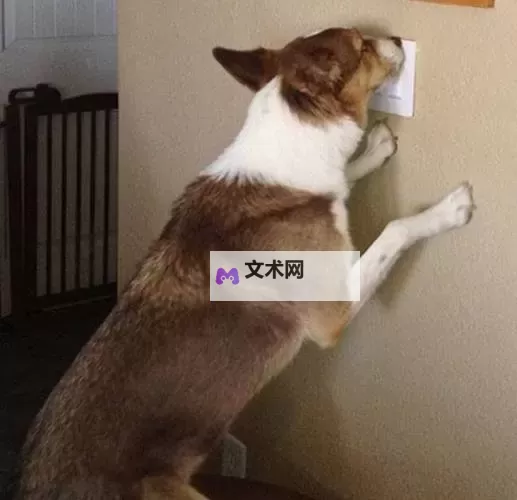 主人，求您关掉开关吧：一段未竟的心声图2