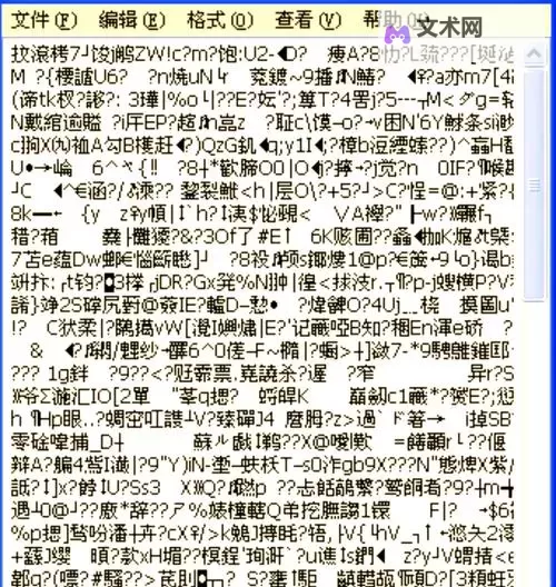解决中文字字幕11页中文乱码的有效方法与技巧图1
