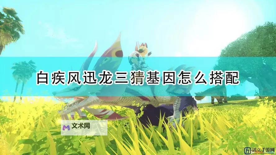 《怪物猎人物语2破灭之翼》白疾风因子搭配推荐图1