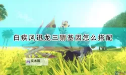 《怪物猎人物语2破灭之翼》白疾风因子搭配推荐