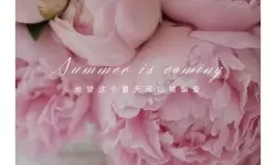 激情绽放：探秘综合久久六月的精彩瞬间