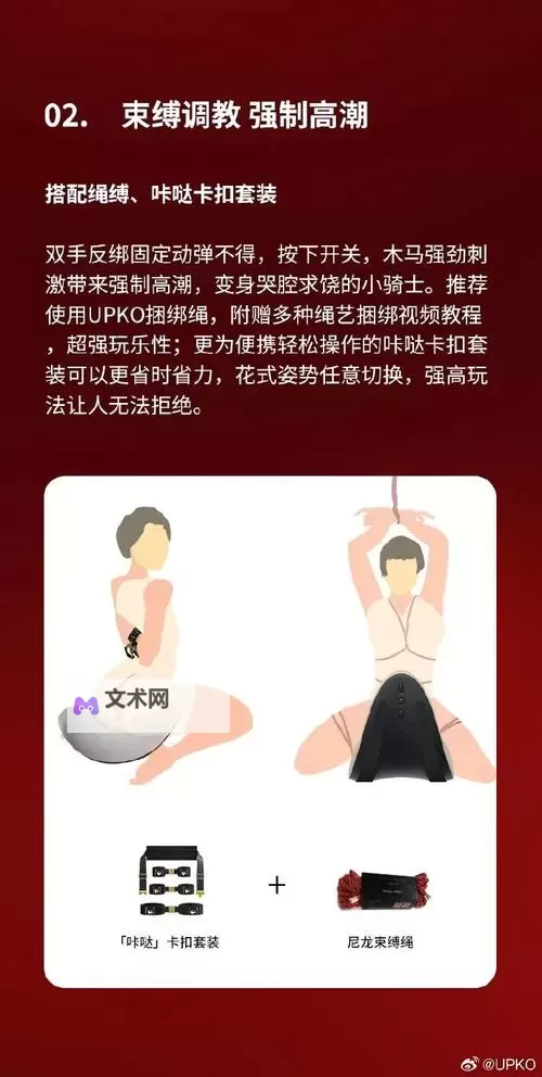 探索调教ponyplay视频vk：精彩内容全解读图1