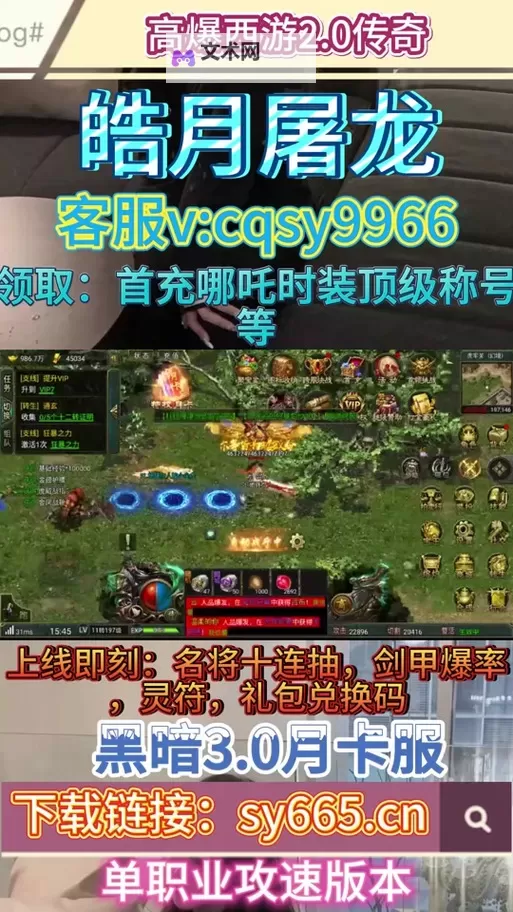 屠龙战怎么双开  屠龙战双开挂机软件推荐图1