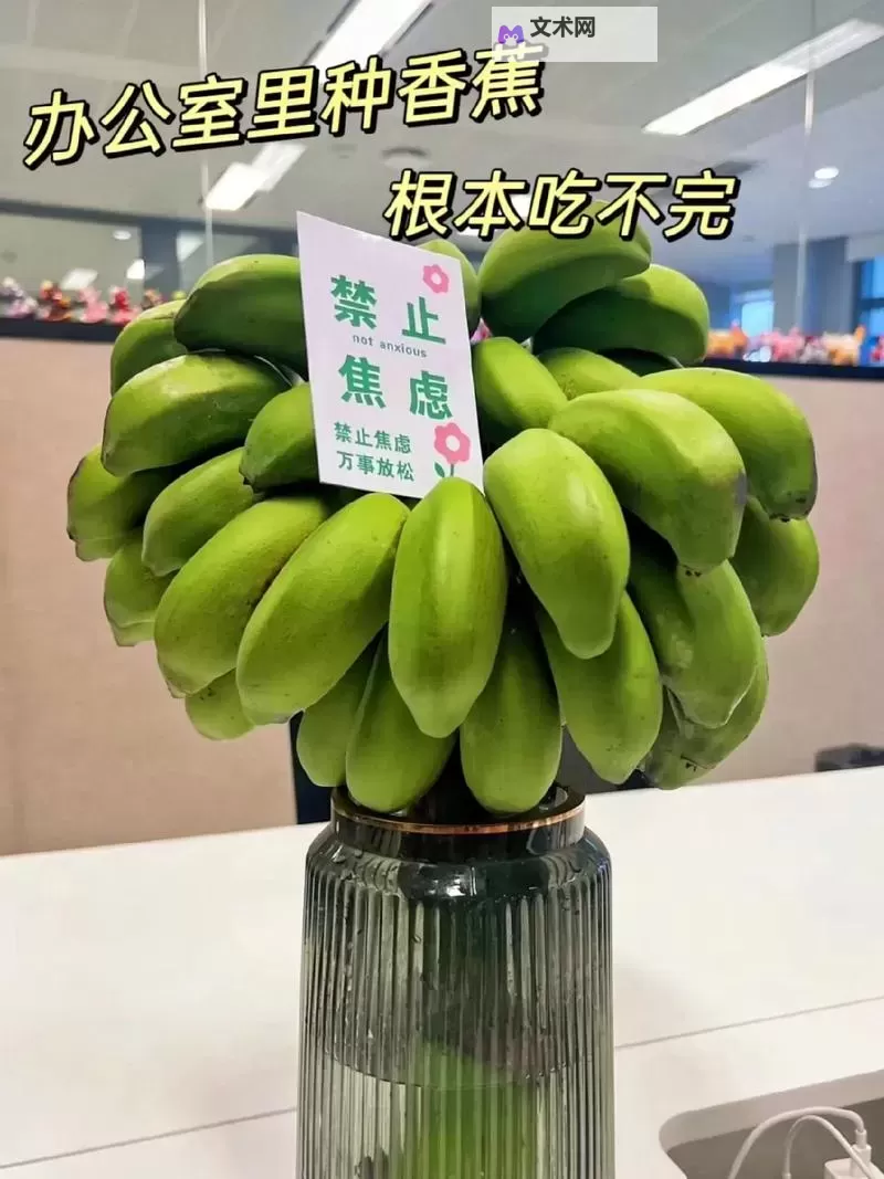 香蕉视频禁止18岁,观看须知!图1