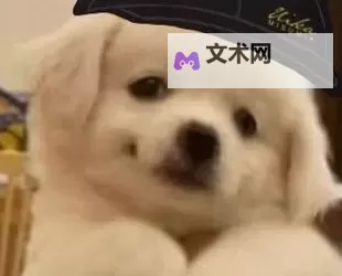 我想看日狗日B:热血动漫推荐与解析图1
