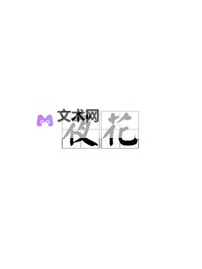 夜花1313AV在线：畅享精彩夜间影视盛宴图1