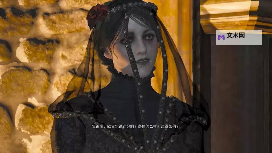 《巫师3》16个DLC内容介绍及游戏性排名 巫师3 DLC排名图2
