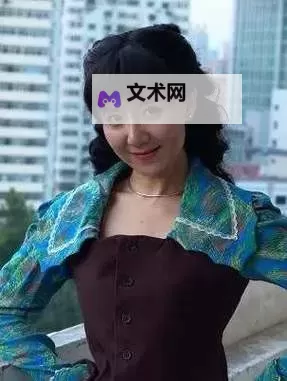 《中国媳妇第二部》：现代家庭情感的深度探索图1