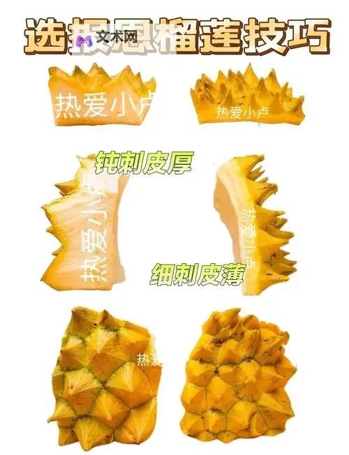探索奢华自然：全面解析榴莲色板的魅力与应用图1