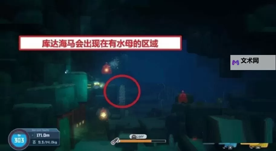 《潜水员戴夫》全海马出现位置及捕捉方法 海马怎么抓图1