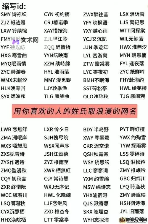 探索便捷途径:永久地域网名入口全面指南图1