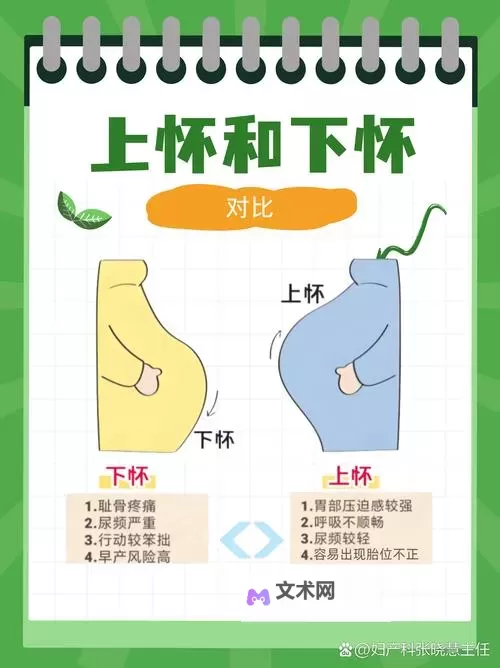 涨精装满肚子，怀孕扩张带来的奇妙变化图1