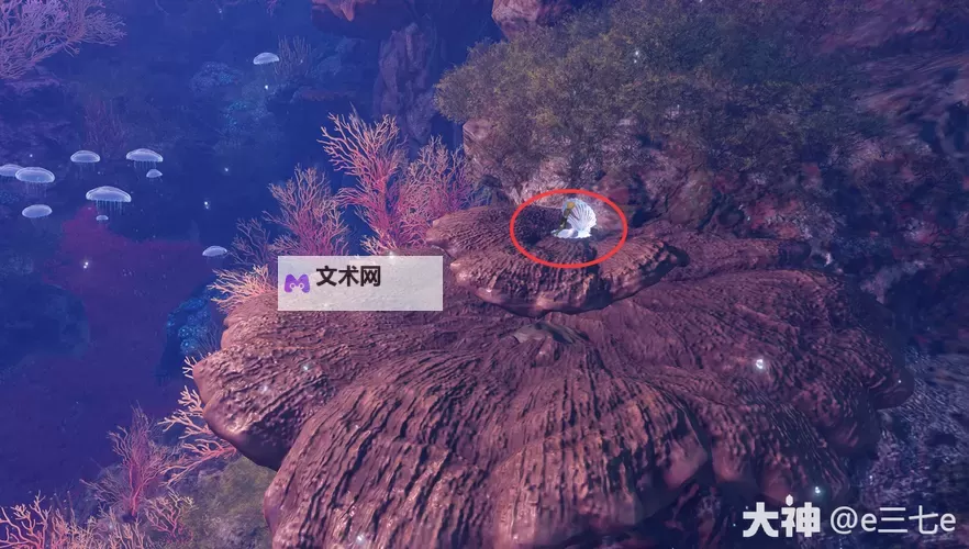 《逆水寒》老兵服海底图鉴跟游图文坐标版本图1