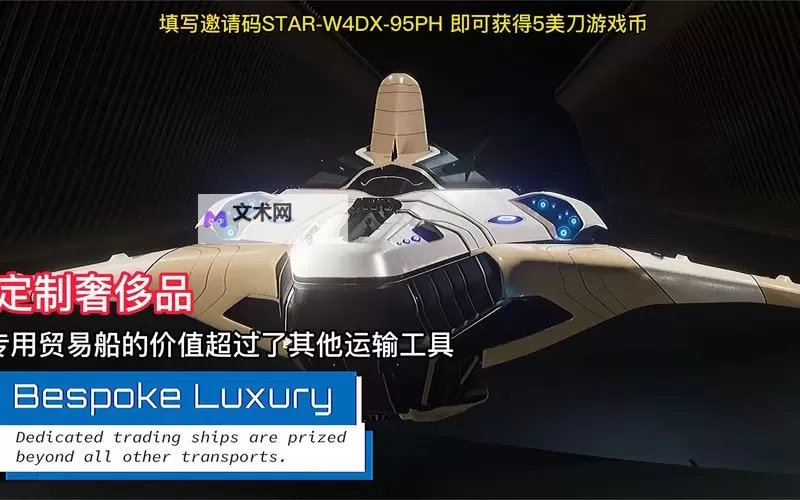 《星际公民》巴奴防卫者评测图1