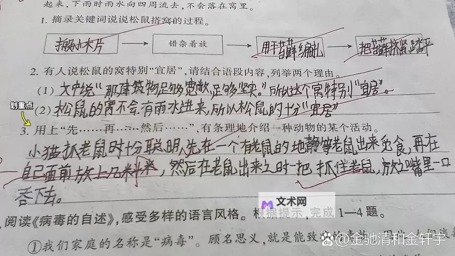 做错一题进去一次C:一次难忘的考试经验分享图2