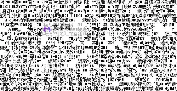 中欧乱码卡一卡2卡三分析：卡片问题解决方案揭秘图1