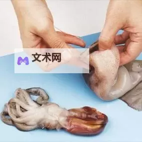 鱿鱼B25777直接进入：最新技术揭秘与应用前景图1