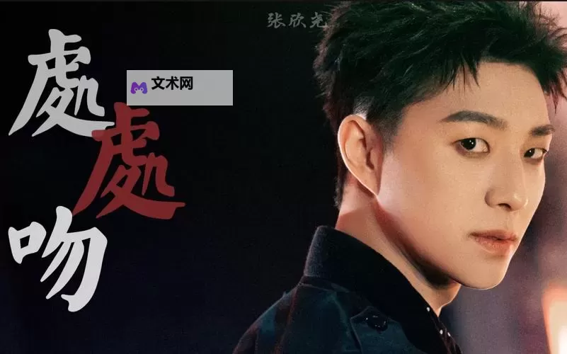 张欣尧飞机视频:精彩瞬间全记录图1