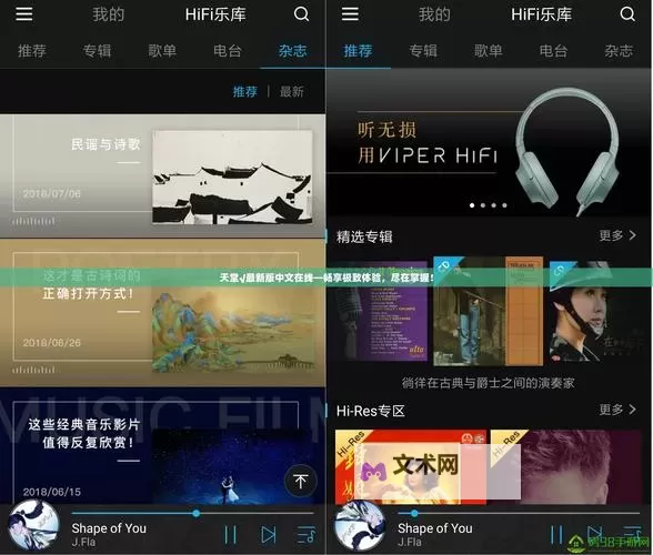 线上邂逅:在线おっさんとわたし天堂的奇幻旅程图1
