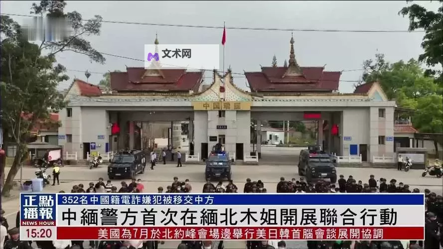 探索精彩纷呈的免费的缅北视频资源推荐图1