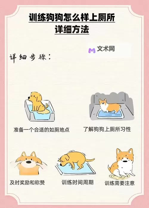 怎样让狗狗进入更加顺利的方法指南图1