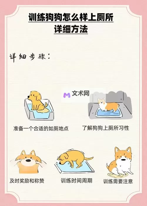 如何有效训练：怎样教狗狗进入自己的方法指南图1