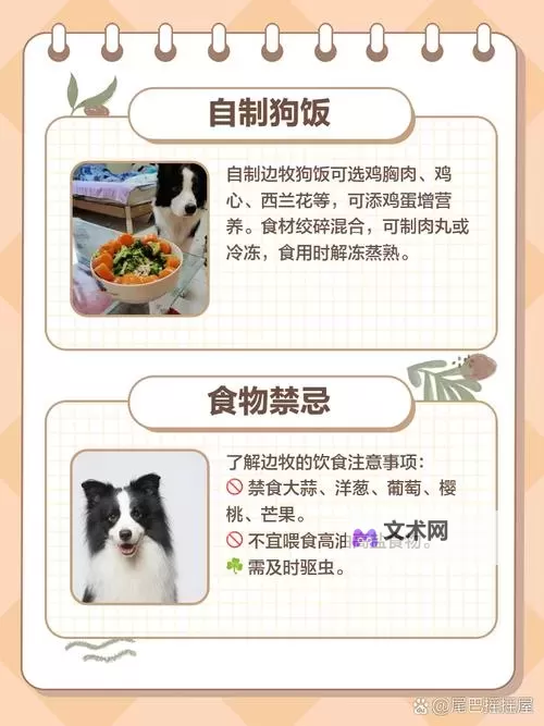 《最远的边陲》节省食物与慢节奏开局技巧 怎么节省食物图1