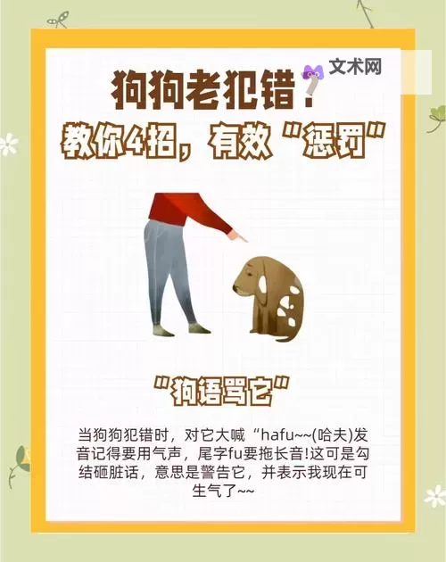 母狗教练被调教：职场压力下的逆转与成长图1