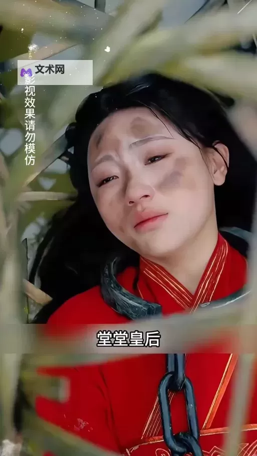 皇宫秘闻:御前宫女有孕引发的宫廷风云图1