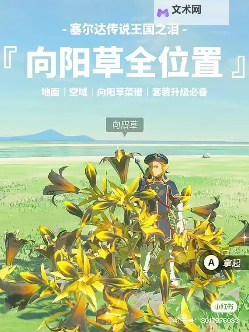 《塞尔达传说王国之泪》向阳草采集路线演示 向阳草在哪图2