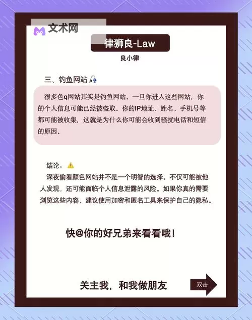 深夜十大禁用网站入口揭秘:安全访问指南图1