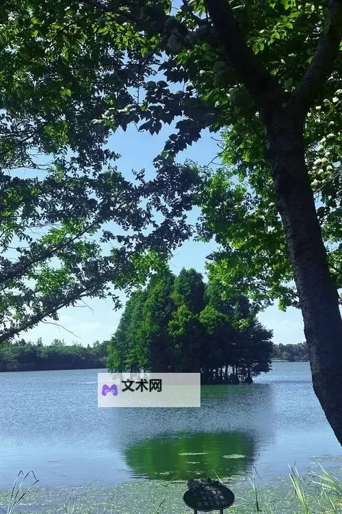最新揭秘：中国黑帮老大排名前十全纪录图1