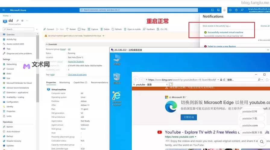 探索中国VPS Windows野外高清资源的最佳方法与应用案例图2