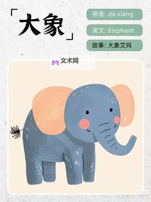大象2022秘密视频免费入口:最新观看指南与攻略推荐图1