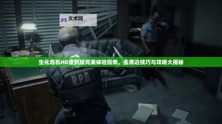 生化危机 HD重制版新手细节介绍图1