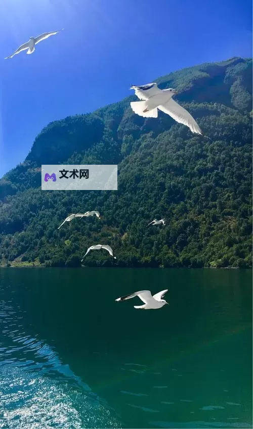 希亚之光双开挂机软件推荐  怎么双开希亚之光详细图文教程图2
