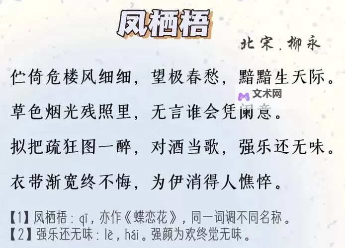 语文课代表说衣带渐宽终不悔:坚持梦想的执着与坚韧图1