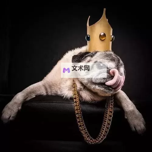 探索最新趋势:如何在“swag在线”平台打造属于你的潮流风采图1