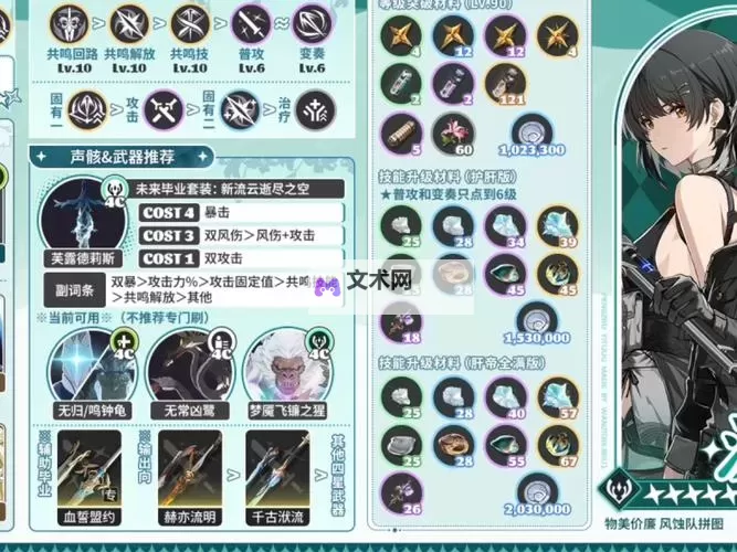 《鸣潮》湮灭漂泊者全面培养攻略 暗主出装与配队推荐图1