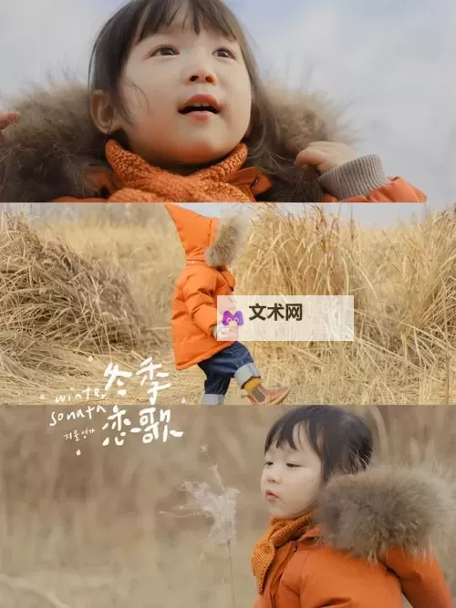 芦苇荡里的母爱免费阅读:温暖人心的感人故事图1