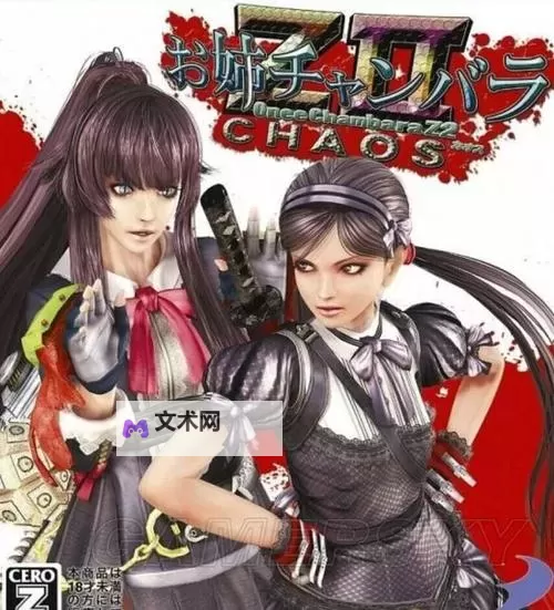 《御姐玫瑰Z2混沌》画面配置及动作体验试玩心得图1