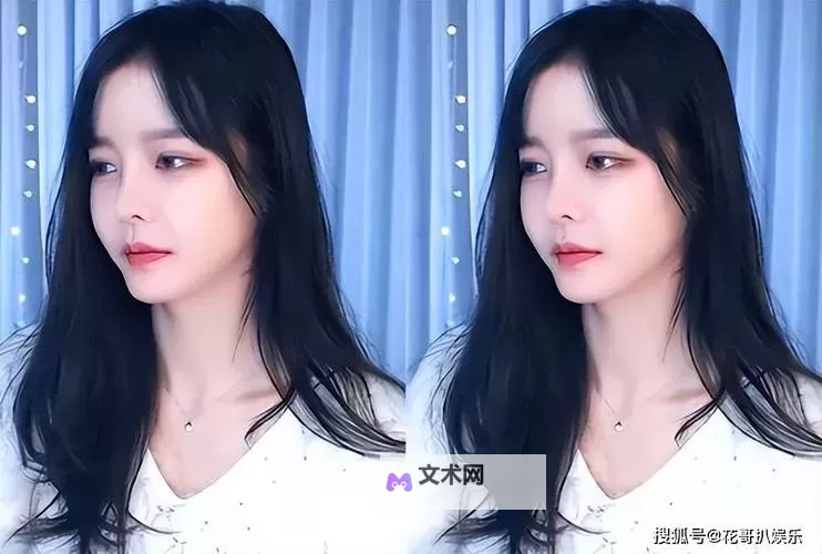 麻豆传媒免费在线看:优质资源在线观看指南图1