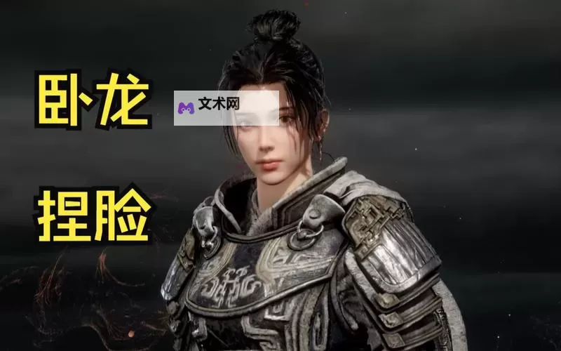 《卧龙苍天陨落》维吉尔捏脸数据分享图1