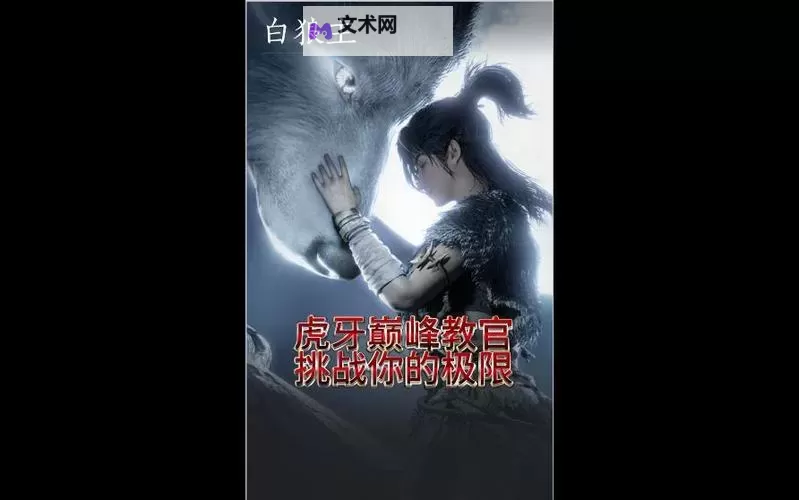 《燕云十六声》浴血白狼主招式解析图1