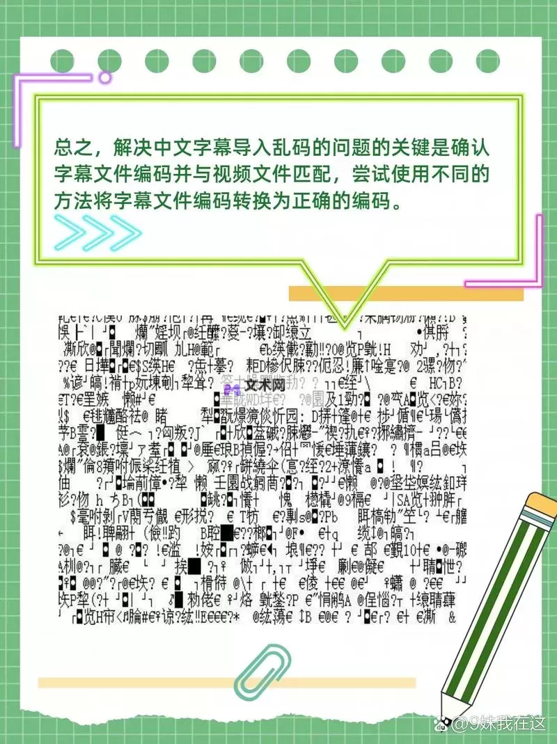 解决方案：中文字幕导入是乱码的原因与修复方法图1