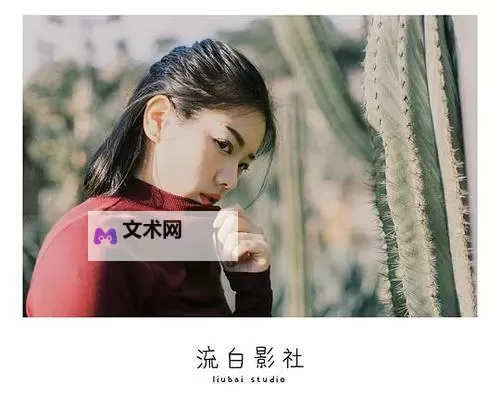 免费在线观看流白流视频在线观看，尽享高品质影视体验图1